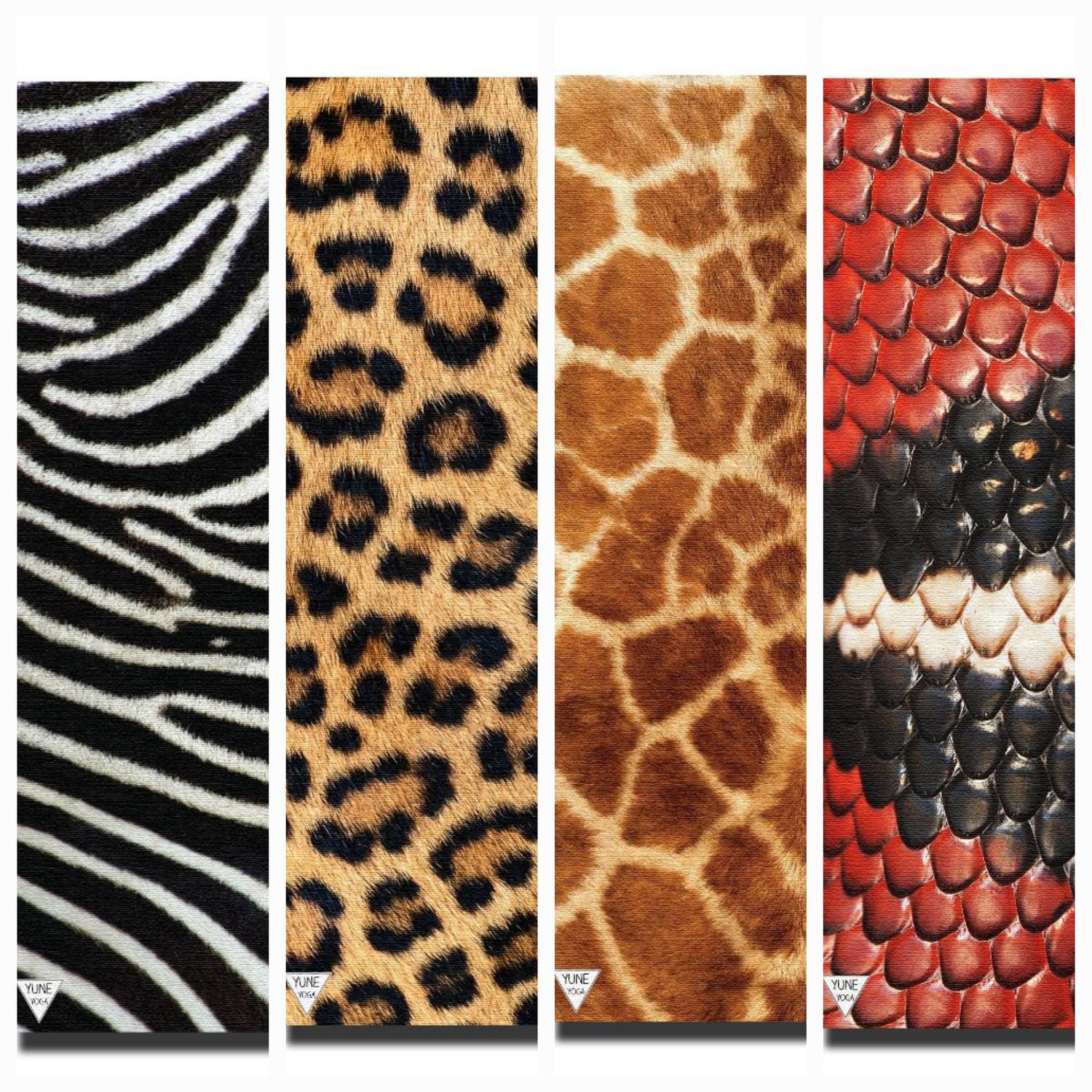 Animal prints